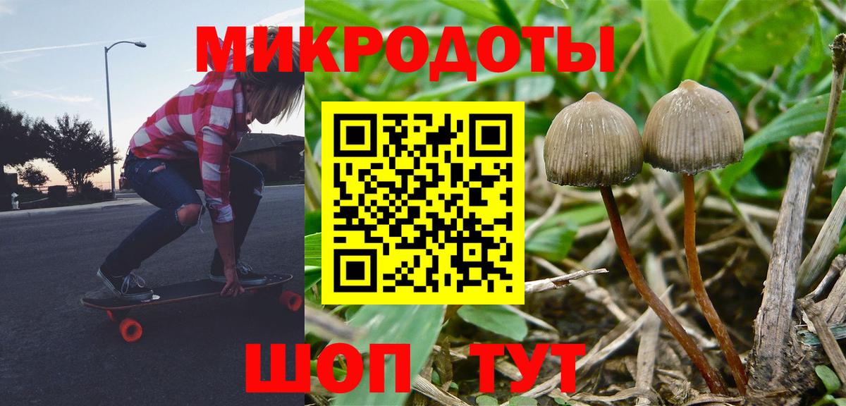 Галлюциногенные грибы мухоморы  Вход с VPN  Галлюциногенные грибы Psilocybine cubensis  Грязи 